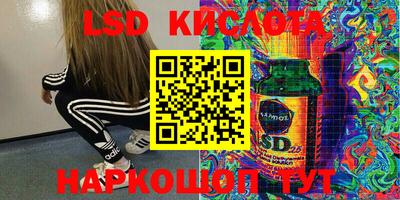твердый Новодвинск