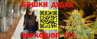 твердый Новодвинск