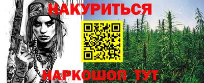 твердый Новодвинск